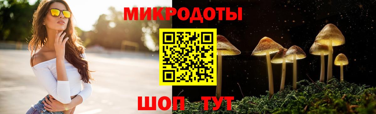 Псилоцибиновые грибы мицелий Комсомольск-на-Амуре
